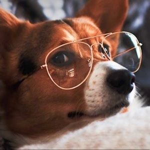 Meet your Posher, Jazzymin